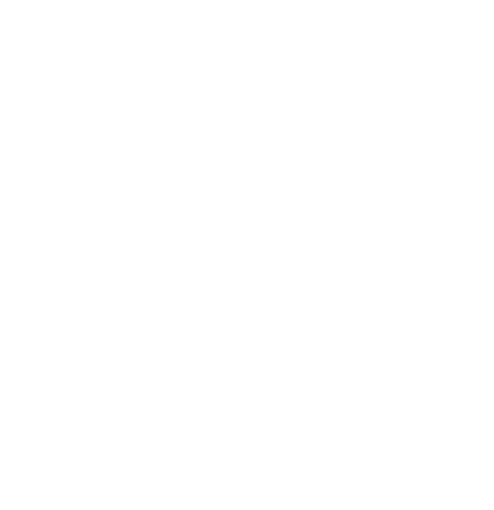 Shalom Movement Studio